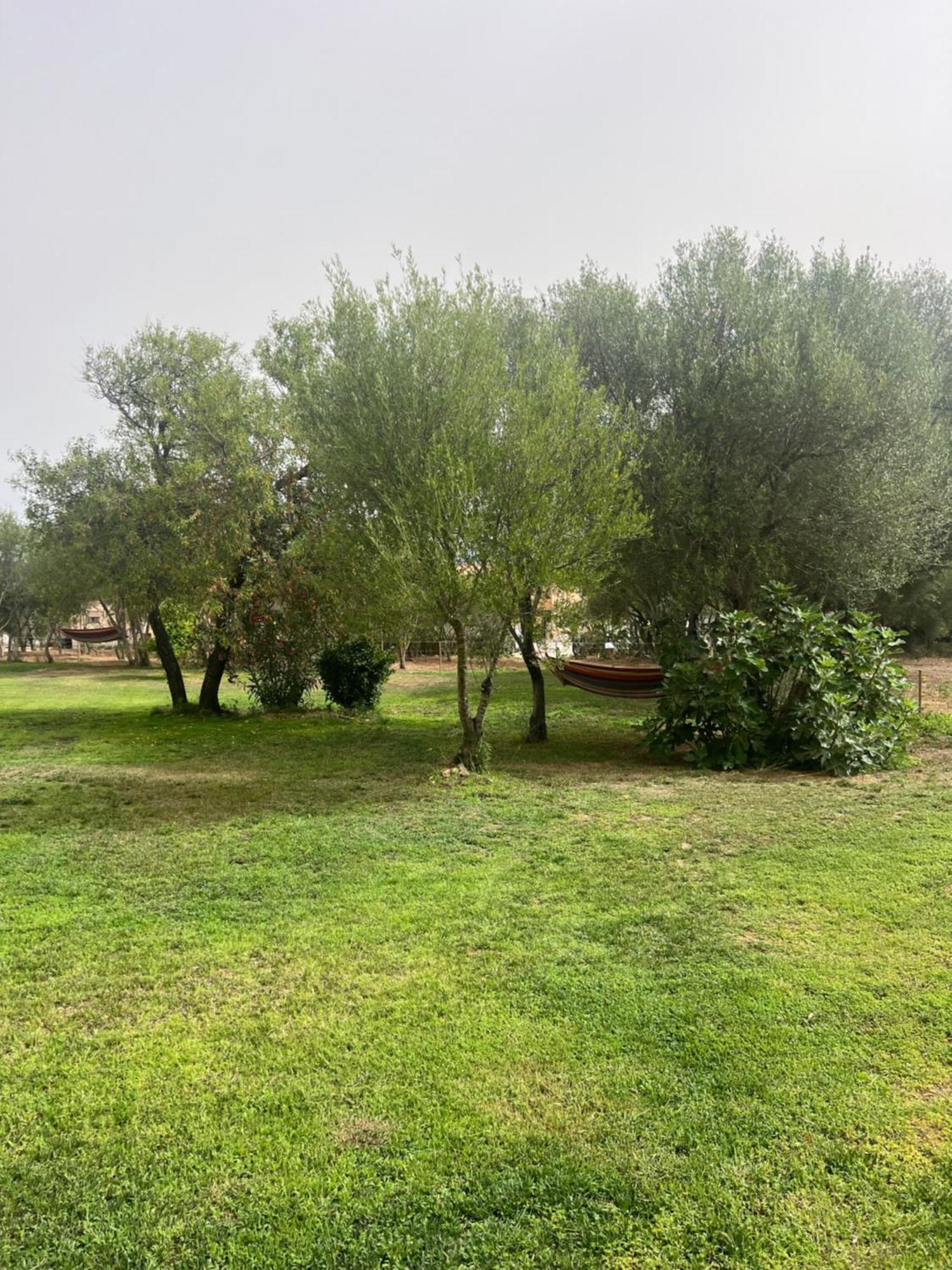 Lo Stazzo Di Wally Pension Porto Pollo Buitenkant foto
