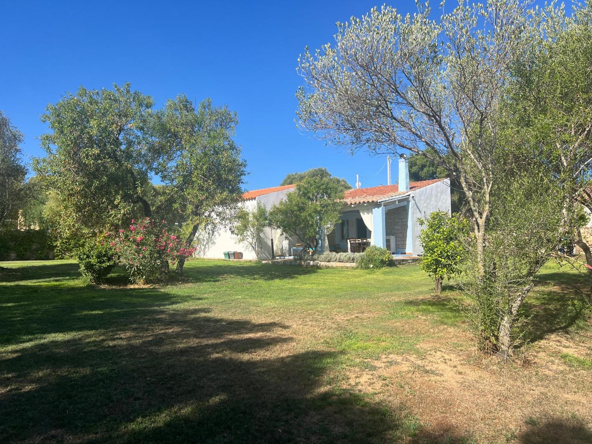 Lo Stazzo Di Wally Pension Porto Pollo Buitenkant foto